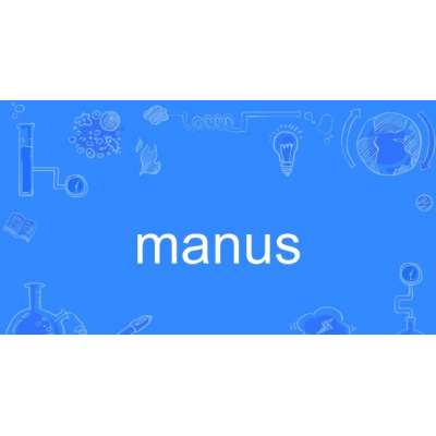中國團(tuán)隊發(fā)布通用型AI Agent產(chǎn)品Manus 性能超越OpenAI